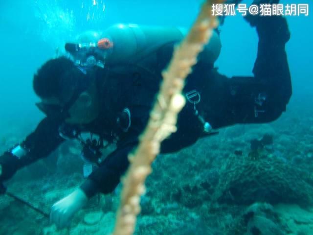 部落冲突：皇室战争